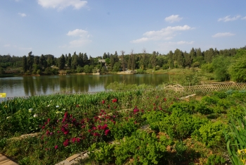 百草莊園<sup>?</sup> 介紹